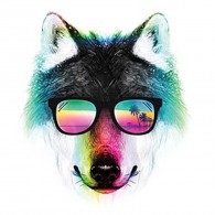 Summer Wolf Sunglasses